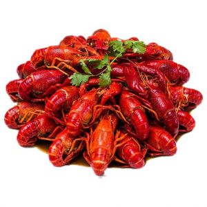 SHUYAN Crayfish